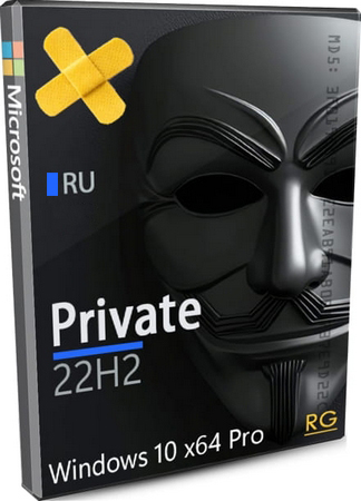 Windows 10 Pro 22H2 Private Core 19045.6809 by Revision