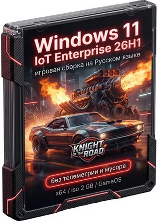 Логотип программы Windows 11 IoT Enterprise