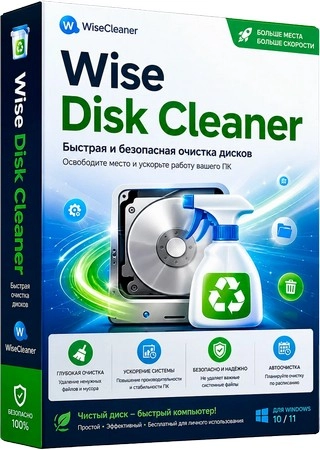 Wise Disk Cleaner 11.4.0.860 + Portable